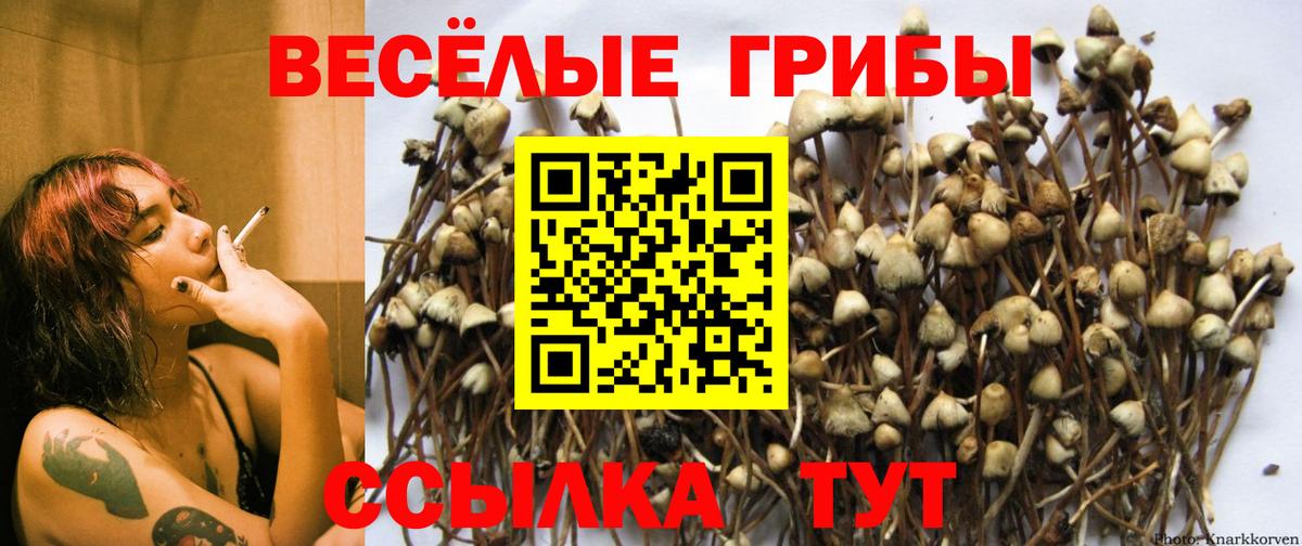 Галлюциногенные грибы мицелий Отрадное