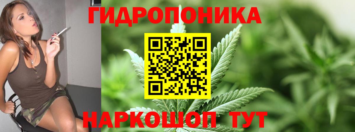 Конопля Bruce Banner  Канабис OG Kush  Вход с VPN  Шишки марихуана White Widow  Отрадное 
